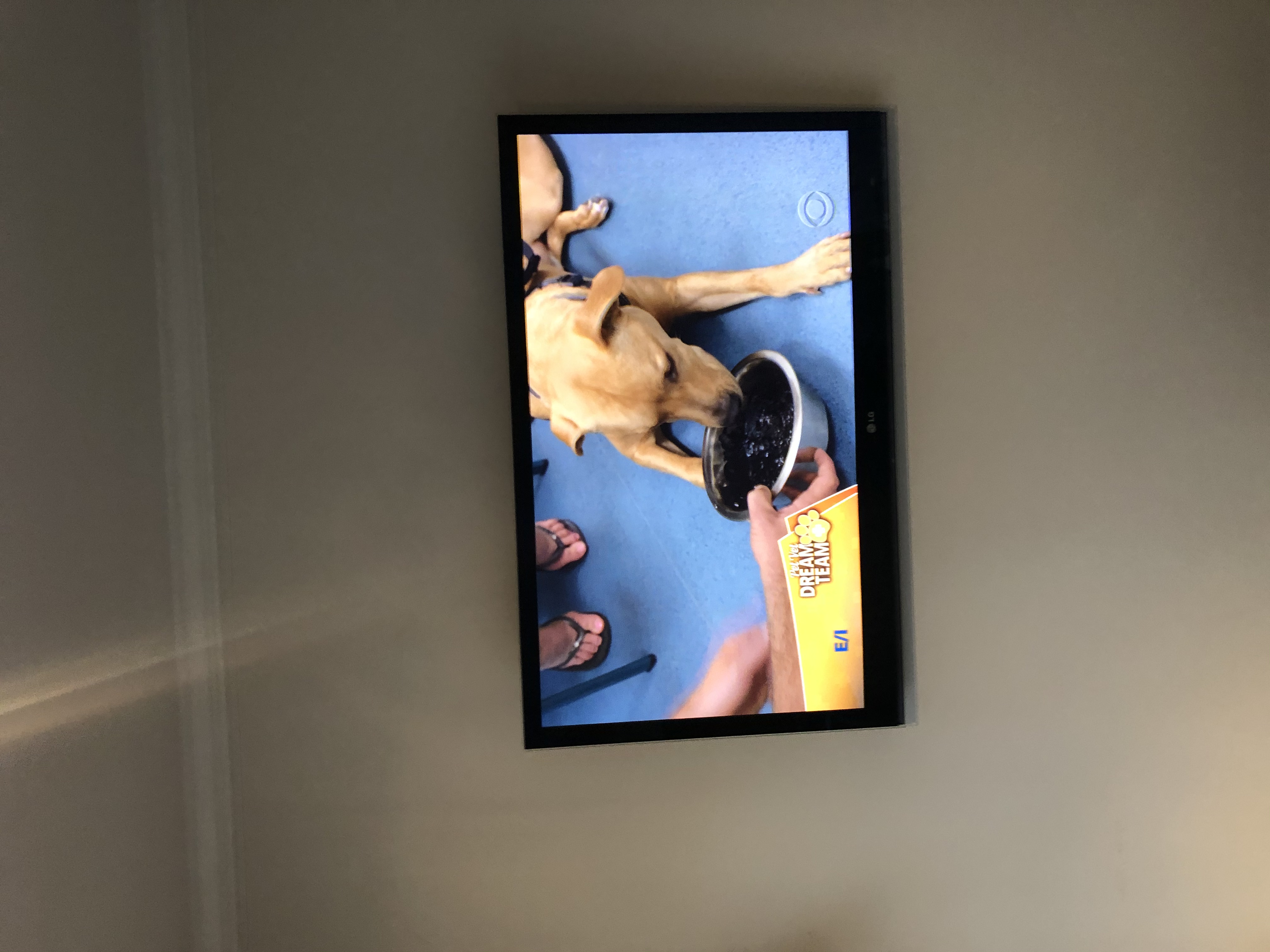 TV Mount